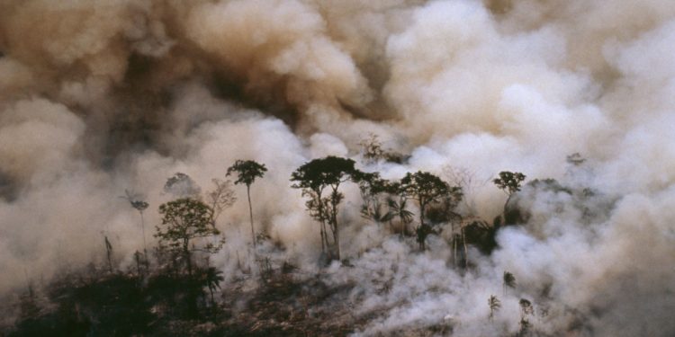 La Tierra vive en 2025 el sobregiro ecológico más anticipado del que se tenga registro