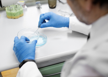 Microbioma: ¿Qué es y cuál es su importancia en nuestra salud?