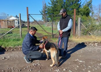 En la comuna de Retiro realizan operativos de esterilización con recursos de Subdere