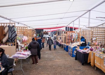 Talento y tradición: emprendedores de Market Maule brillaron en la Fiesta de la Virgen del Carmen en Pelarco