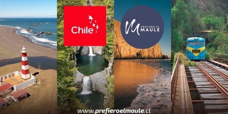“Prefiero el Maule ” cumple 5 años y lo celebrará junto a Marca Chile con taller gratuito para emprendedores