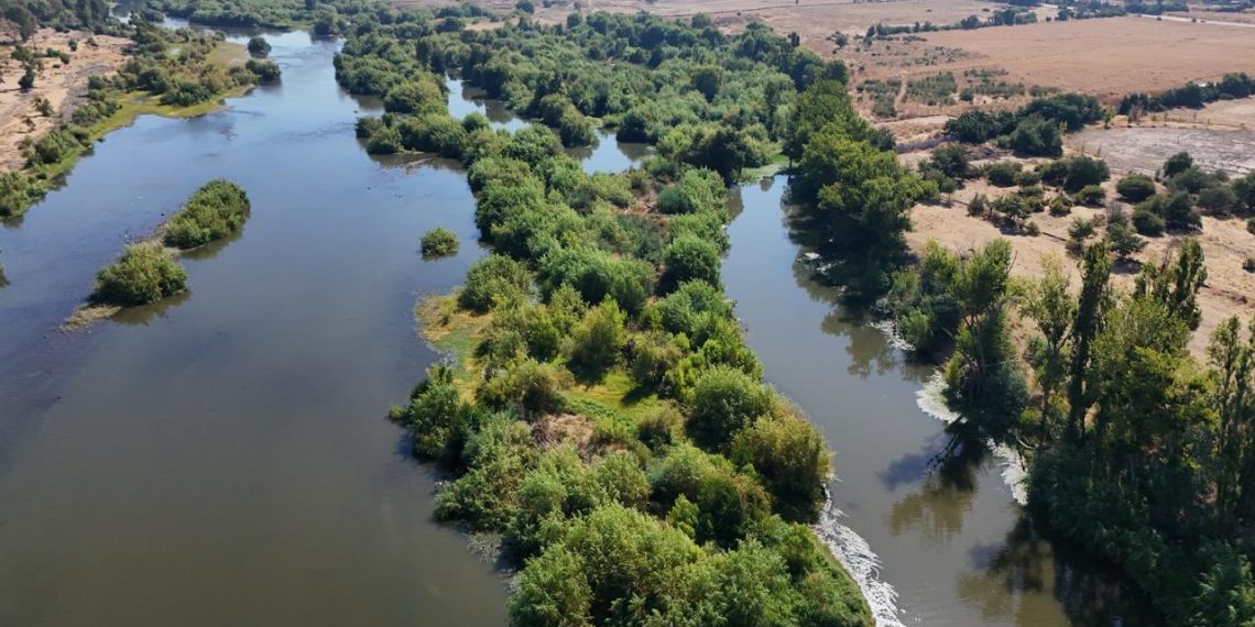 Aprobado por unanimidad Plan de Acción Comunal de Cambio Climático para Talca 