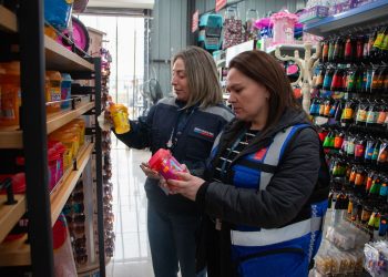 Seremi de Salud del Maule refuerza fiscalizaciones de productos asiáticos en Linares
