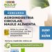 Maule Alimenta invita a pymes del Maule a medir su circularidad con nuevo concurso 2025