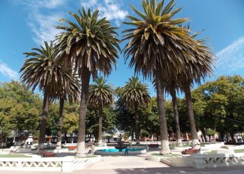 Parral impulsa Plan “Ciudad Bosque” para el desarrollo sustentable de la comuna