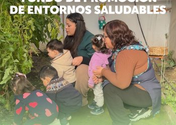Elige Vivir Sano y el Ministerio de Desarrollo Social y Familia invitan a postular al Fondo de Promoción de Entornos Saludables 2025