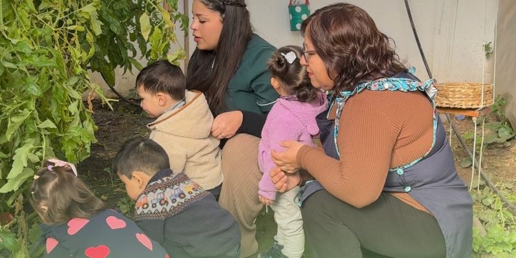 Elige Vivir Sano y el Ministerio de Desarrollo Social y Familia invitan a postular al Fondo de Promoción de Entornos Saludables 2025