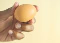 Seguridad alimentaria: tráfico ilegal de huevos desde Bolivia alerta a expertos por grave riesgo sanitario