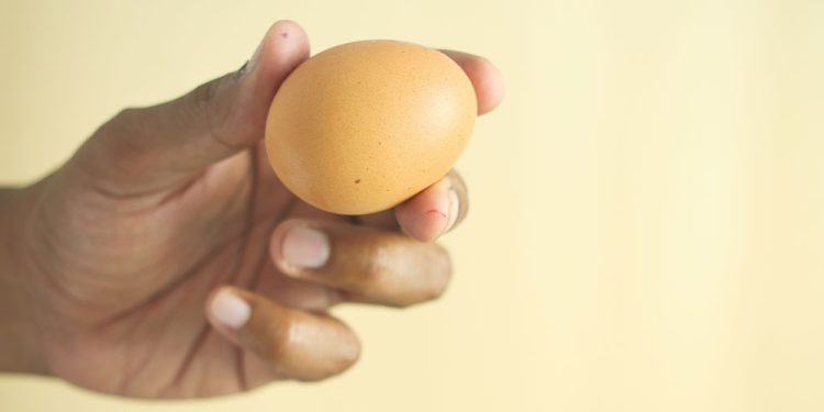 Seguridad alimentaria: tráfico ilegal de huevos desde Bolivia alerta a expertos por grave riesgo sanitario