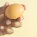 Seguridad alimentaria: tráfico ilegal de huevos desde Bolivia alerta a expertos por grave riesgo sanitario