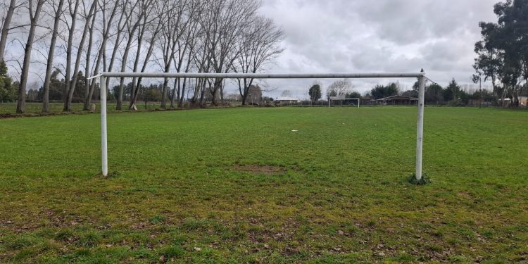 Parral tendrá por primera vez canchas de  futbol empastadas en sectores rurales