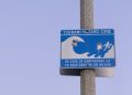 Revisa las horas estimadas de llegada del tsunami a costas de Chile tras terremoto 8.8 en Rusia