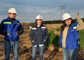 Tasa de desempleo en el Maule baja a 8,1% en el trimestre abril-junio 2025
