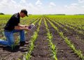 Del campo a la red: El agro tiene algo que decir (y es hora de aprender a contarlo)