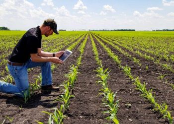 Del campo a la red: El agro tiene algo que decir (y es hora de aprender a contarlo)