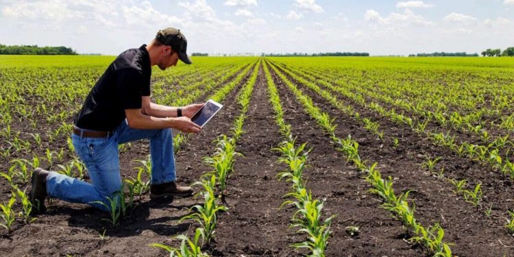 Del campo a la red: El agro tiene algo que decir (y es hora de aprender a contarlo)