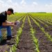 Del campo a la red: El agro tiene algo que decir (y es hora de aprender a contarlo)