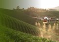En Maule se realizará evento internacional que reunirá los ecosistemas agrícola, alimentario, tecnológico y de innovación
