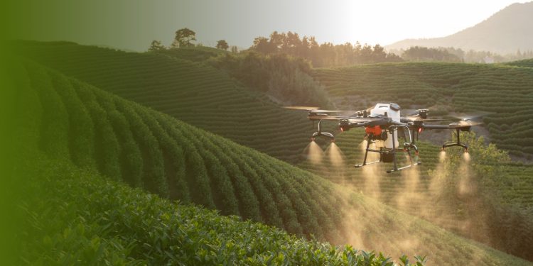 En Maule se realizará evento internacional que reunirá los ecosistemas agrícola, alimentario, tecnológico y de innovación