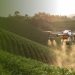 En Maule se realizará evento internacional que reunirá los ecosistemas agrícola, alimentario, tecnológico y de innovación
