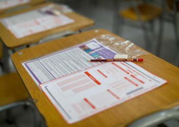 PAES Regular 2025 logra cifra récord: más de 300 mil inscritos para rendirla en diciembre: Sepa las fechas claves del proceso