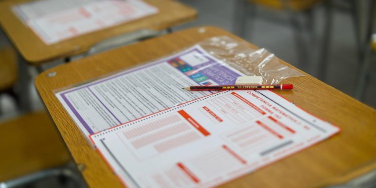 PAES Regular 2025 logra cifra récord: más de 300 mil inscritos para rendirla en diciembre: Sepa las fechas claves del proceso