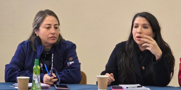 Diputada Consuelo Veloso constituye amplia mesa de trabajo por perrera de Linares y emplaza al alcalde