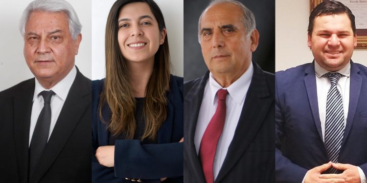 PPD Maule ratifica candidatos para elecciones parlamentarias