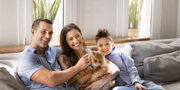 Día del Gato: nuevas tendencias en el cuidado de mascotas empujan la venta de seguros para perros y gatos