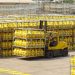 Lipigas llegó a las 200 comunas que pueden acceder a gas más barato gracias a alianza con los municipios: 19 son de la región del Maule