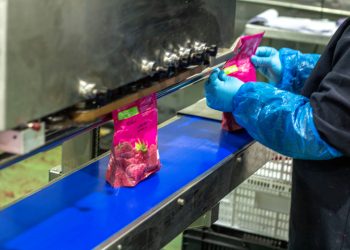 Industria y empleo asalariado privado dinamizan el Maule pese a complejo panorama nacional