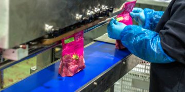 Industria y empleo asalariado privado dinamizan el Maule pese a complejo panorama nacional