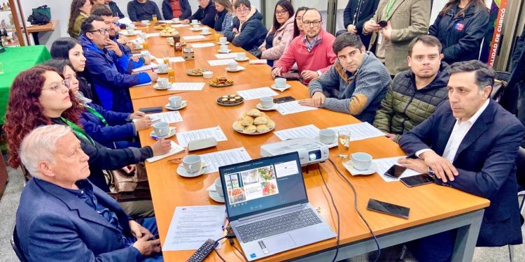EcoMercado Solidario conformó instancia ciudadana que ampliará beneficios y entregas gratuitas de alimentos a más hogares de Curicó