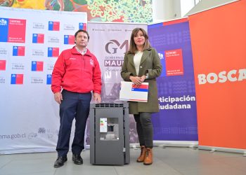 Gobierno abre subsidio medioambiental Programa Recambio de Calefactores para Talca y Maule