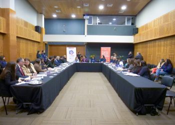 Programa Red Local de Apoyos y Cuidados llega a 18 comunas este año