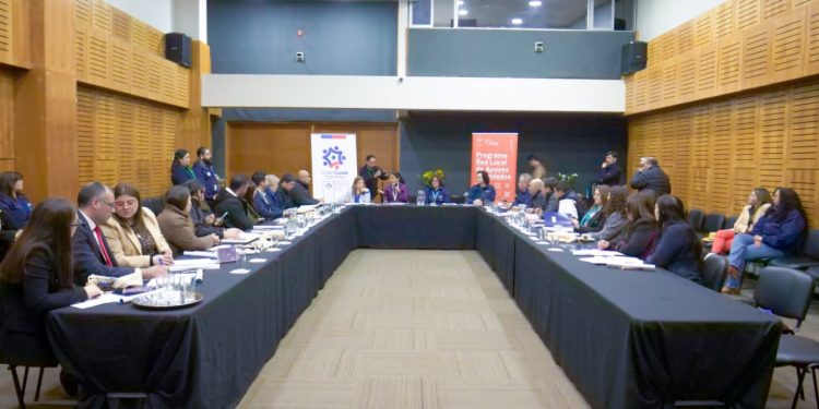 Programa Red Local de Apoyos y Cuidados llega a 18 comunas este año