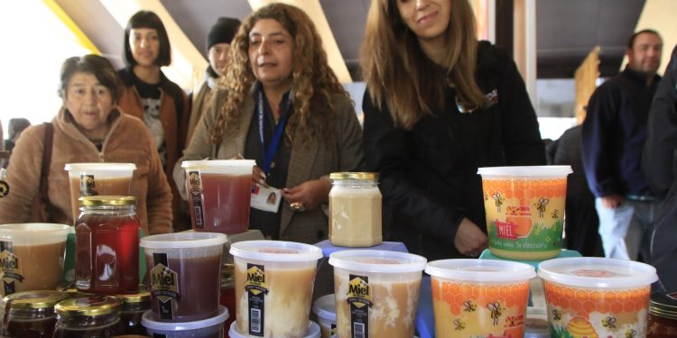 Con feria apícola el Maule celebró el Día de la Miel
