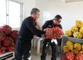 Operativo municipal en Talca convirtió decomisos de comercio ilegal en ayuda solidaria para hogares y fundaciones