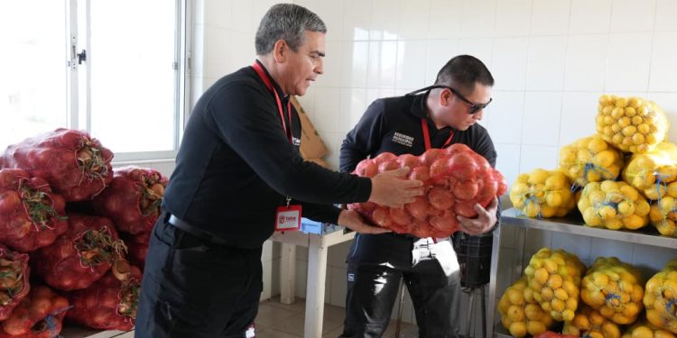 Operativo municipal en Talca convirtió decomisos de comercio ilegal en ayuda solidaria para hogares y fundaciones