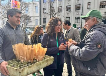 Alianza público-privada impulsará planes comunales de cambio climático en Empedrado y Curepto