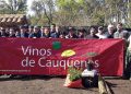Donación de alcornoques abre camino a producción local de corchos en viñas de Cauquenes 