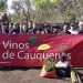 Donación de alcornoques abre camino a producción local de corchos en viñas de Cauquenes 