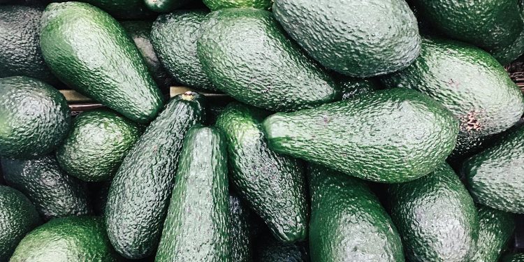 Los riesgos del cadmio, el metal que generó la alerta por paltas peruanas contaminadas