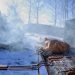 Spiedo, asador eléctrico y motor: el trío perfecto para un asado moderno