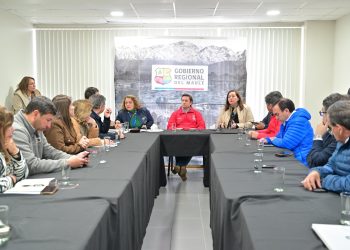 Gobernador y parlamentarios acuerdan citar al ministro de Energía para hacer frente a la crisis de infraestructura eléctrica en el Maule