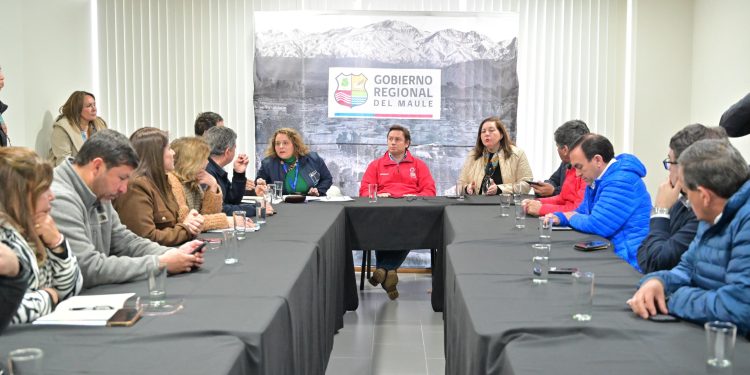 Gobernador y parlamentarios acuerdan citar al ministro de Energía para hacer frente a la crisis de infraestructura eléctrica en el Maule