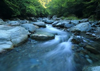 Industrias celebran la Semana del Agua impulsando la recirculación para un uso más eficiente del recurso en América Latina