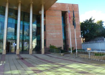 Municipalidad de Talca presentó querella por el delito de maltrato animal en caso de muerte de perros en sector suroriente