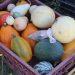 Rescatan sabores e identidad del patrimonio agroalimentario del Mataquito