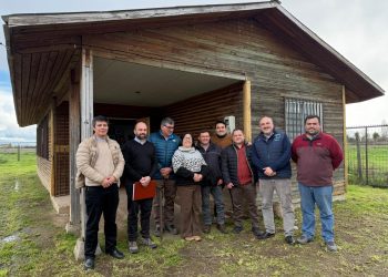 Programa Recuperación de Barrios llega a Longaví y San Javier